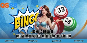Bóng Lô Đề Là Gì - Bật Mí Cách Soi Cầu Chính Xác Cho Tân Thủ
